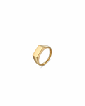 Chari Signet Ring