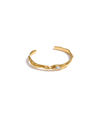 Roi Bangle